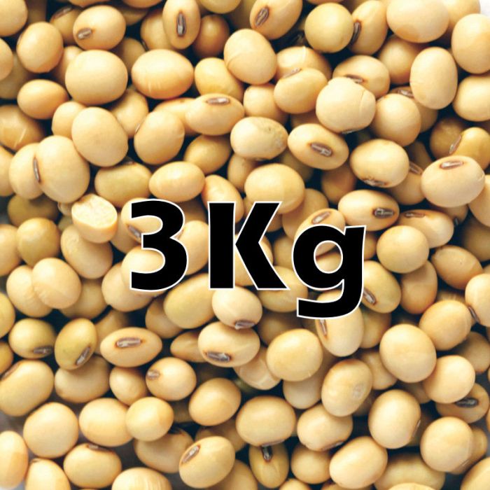 SOYA BEANS ORG  3KG