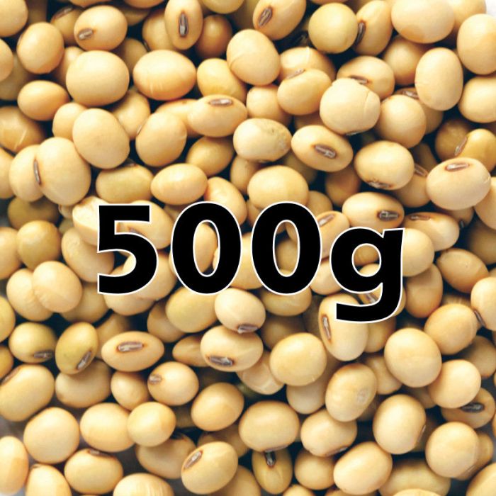 SOYA BEANS ORG. 500G