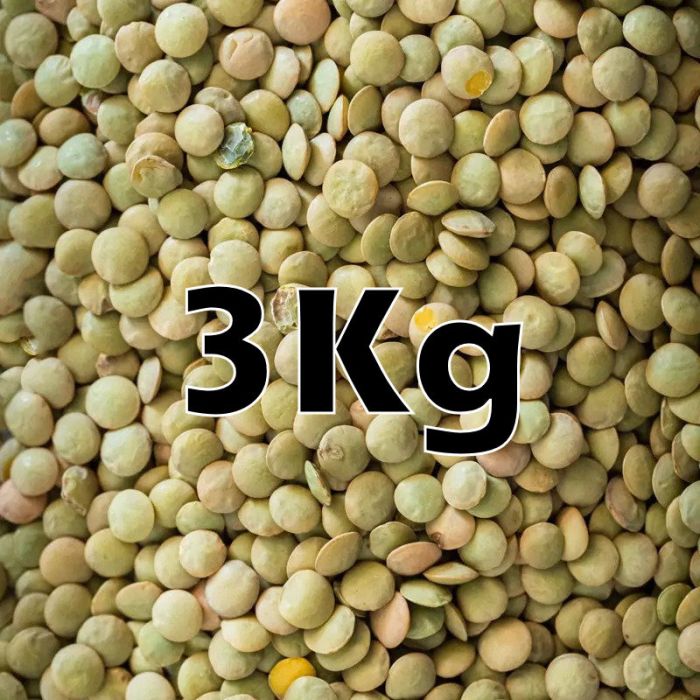 GREEN LENTILS ORG. 3KG