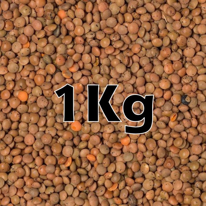 BROWN LENTILS ORG. 1KG