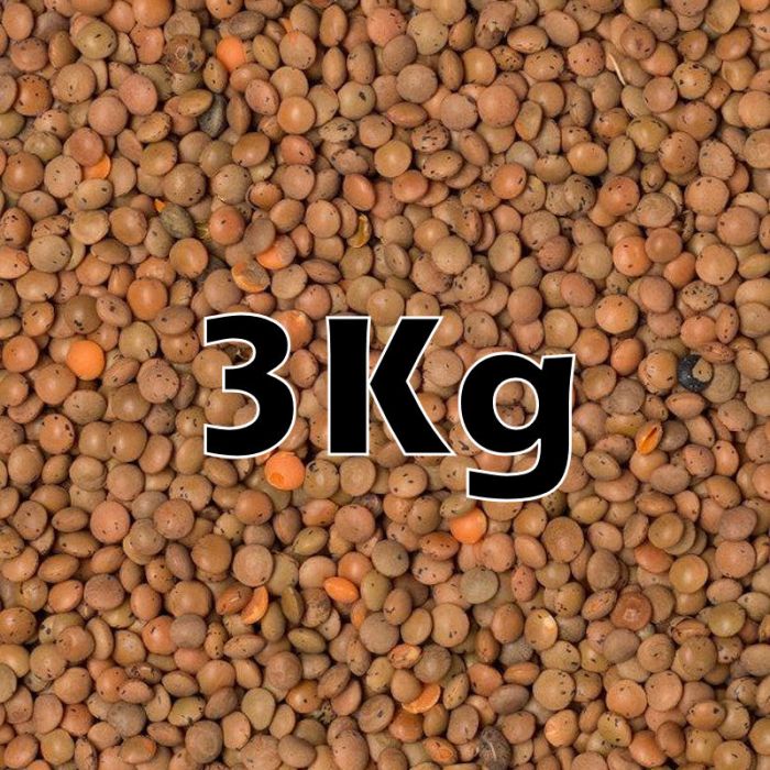 BROWN LENTILS ORG. 3KG