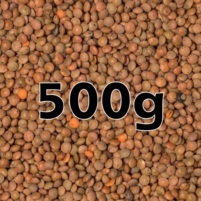 BROWN LENTILS ORG. 500G