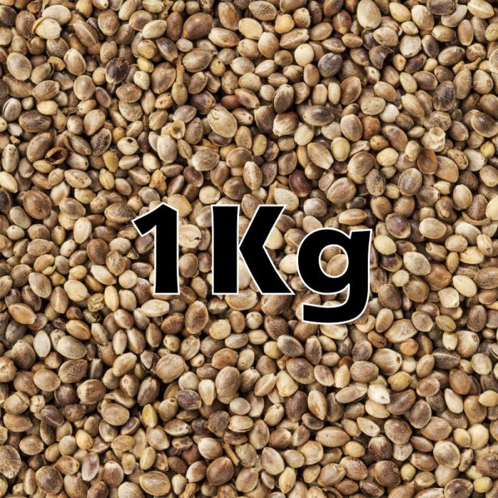 HEMP SEED ORG  1KG