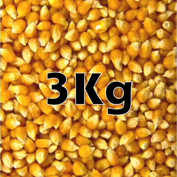 POPCORN ORG.3KG