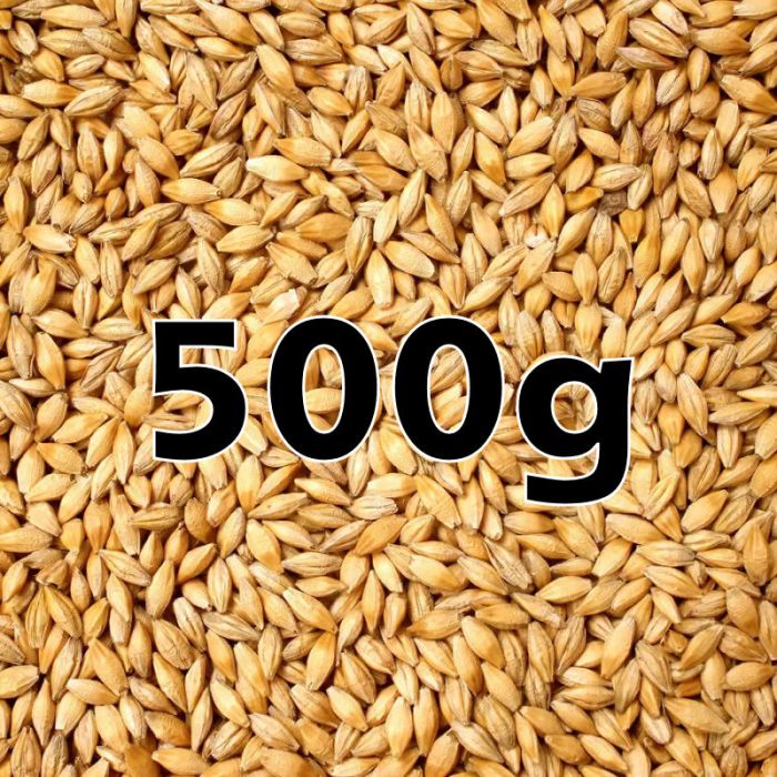 WHEAT GRAIN 500G  ORG.