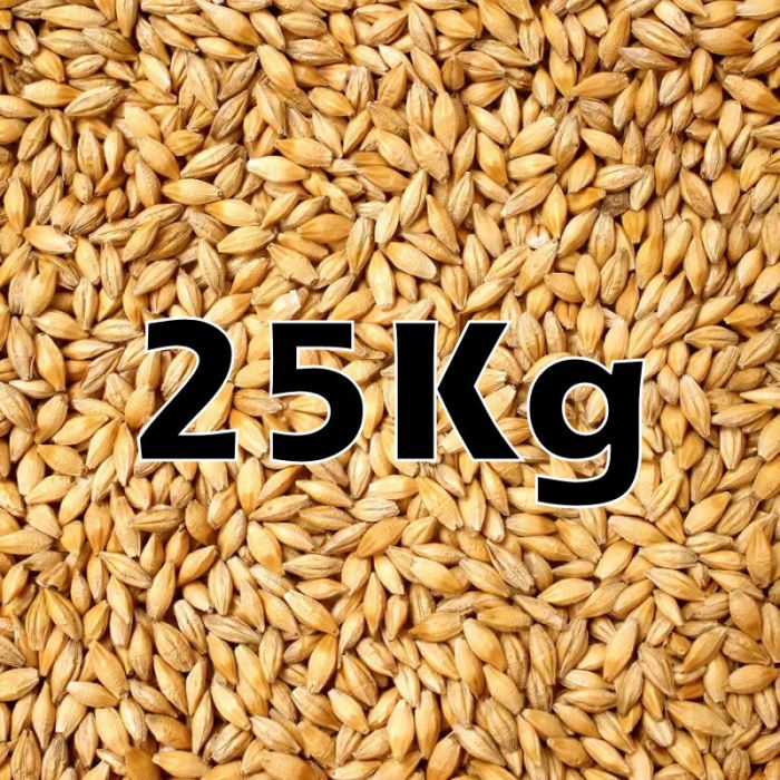 WHEAT GRAIN 25KG ORG.