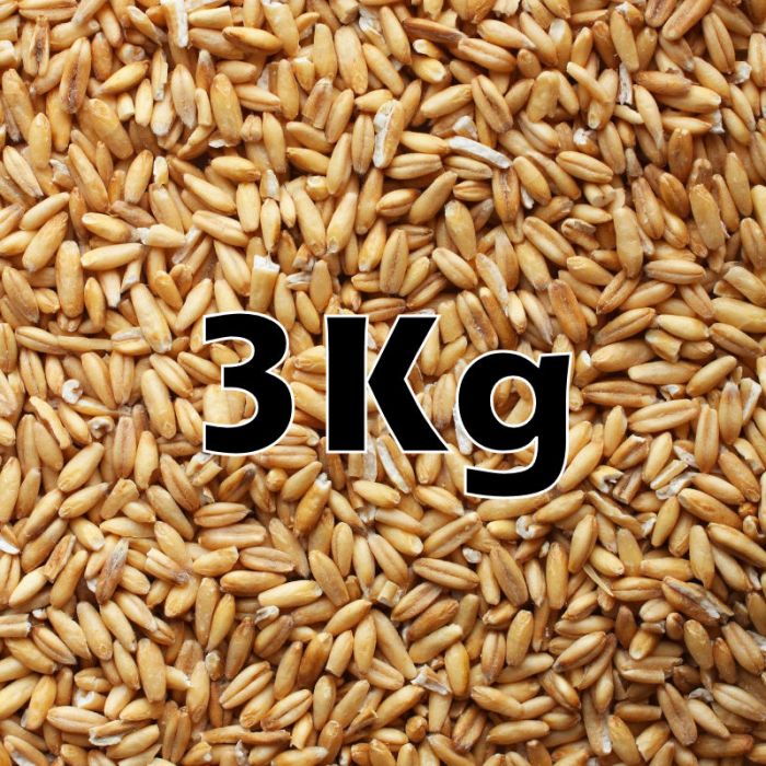 OAT GROATS ORG 3KG