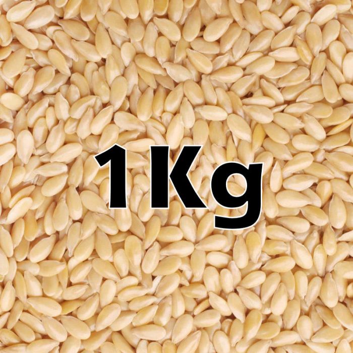 SESAME SEEDS ORG 1KG