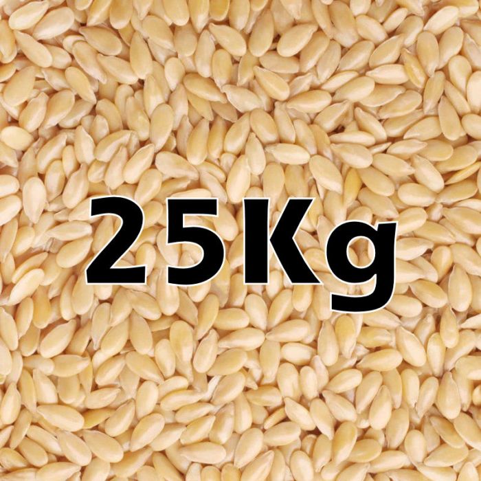 SESAME SEEDS ORG 25KG