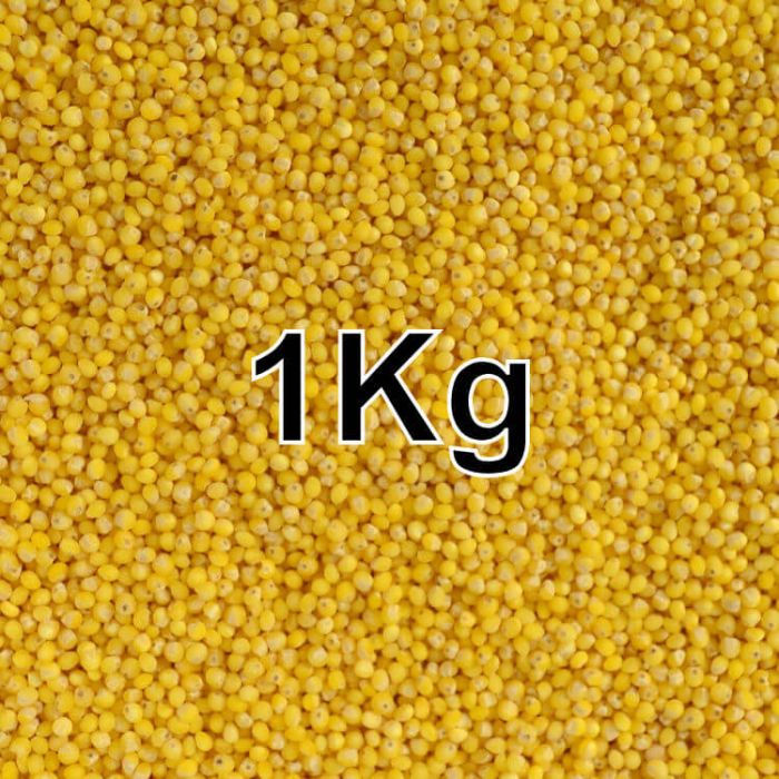 MILLET SEED KG