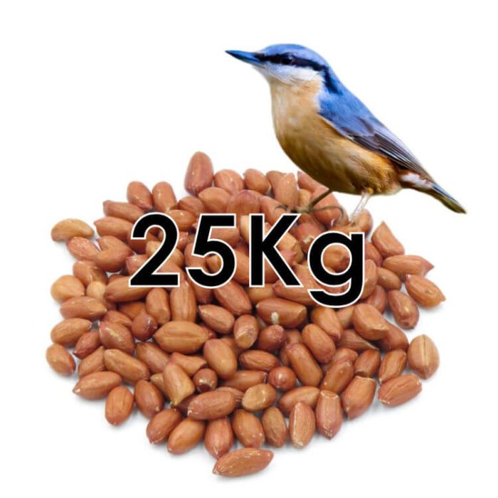 PEANUTS BIRD 25KG