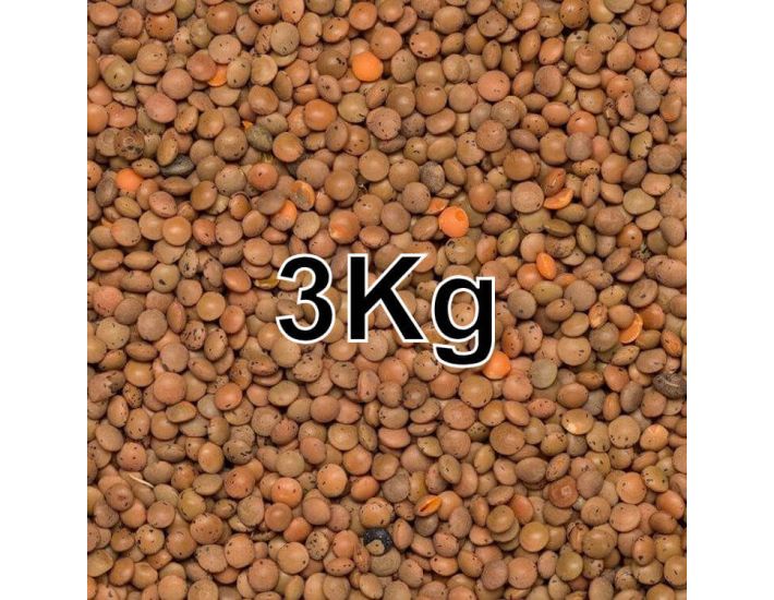 LENTILS BROWN 3KG
